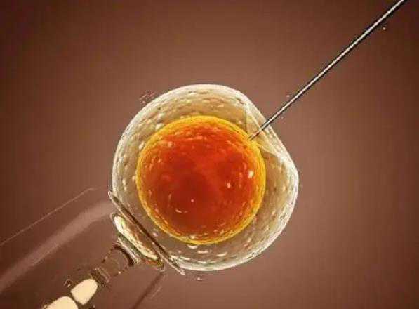 做试管婴儿打降调针的作用是什么~供卵机构助孕